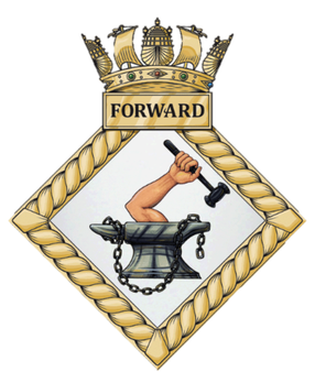 英國海軍各類標識：海軍預備隊