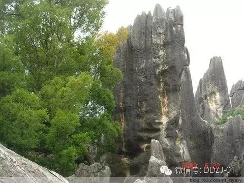 胡彥散文:夜郎靈韻 胡彥散文:夜郎靈韻