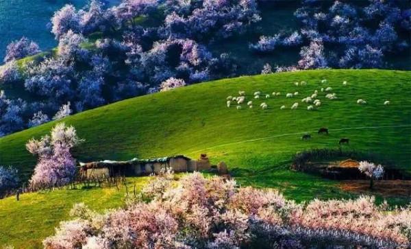 分享大美新疆 景色怡人 美美美