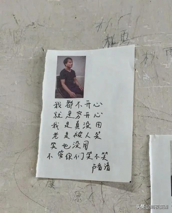 今年最後一個月,我的焦慮,被她們治癒了 今年最後一個月,我的焦慮,被她們治癒了