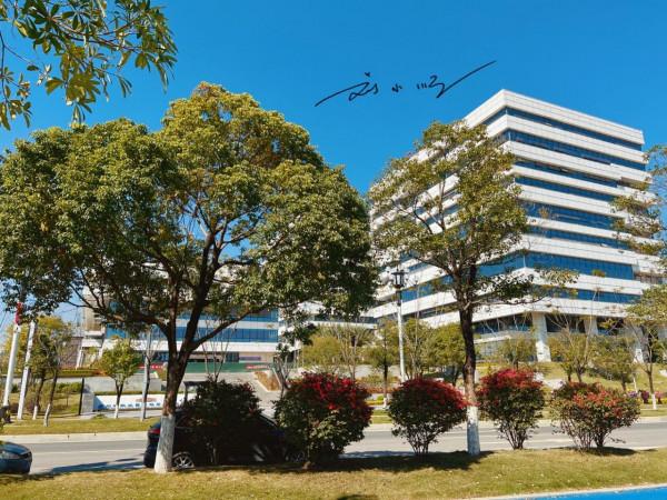 廣州與新加坡合作開發的新城，雖然遠離市中心，房價卻一路飛漲