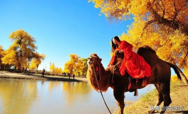 秋去秋來！中國最美的12個地方，你去過幾個？