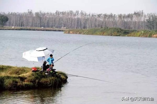 入秋後釣魚,要去大水面釣大魚,秋釣大水面,有5個基本規律 入秋後釣魚,要去大水面釣大魚,秋釣大水面,有5個基本規律