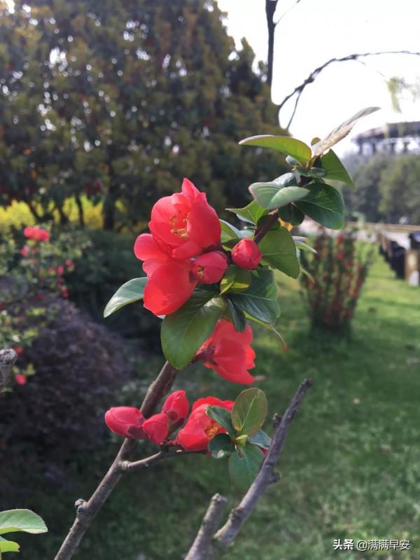 說說我減重路上的絆腳石 說說我減重路上的絆腳石