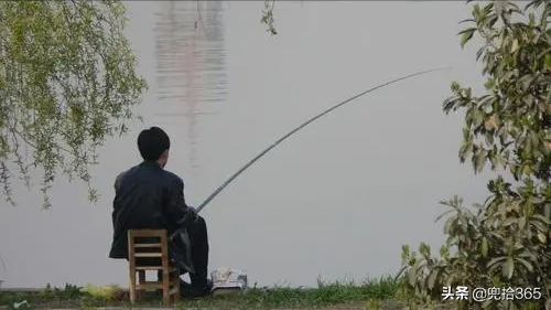 四川一男子在40年的水庫盤黑坑，意外收穫“米級”鰱鱅王，羨慕嗎