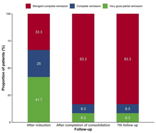 高危多發性骨髓瘤ASCT後Pembro-Rd鞏固治療的療效如何? 高危多發性骨髓瘤ASCT後Pembro-Rd鞏固治療的療效如何?