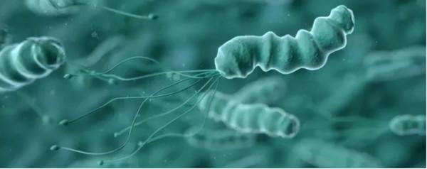 體檢報告中的常見病 體檢報告中的常見病