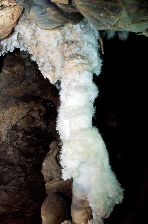 探索未解之謎:我國北方最好的溶洞“銀狐洞”,是如何形成的? 探索未解之謎:我國北方最好的溶洞“銀狐洞”,是如何形成的?