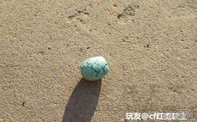 寶友，你看我撿的這顆綠松石，怎！麼！樣