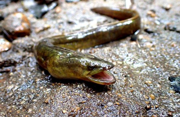 海南海口：城市公園裡的奇妙眾生相