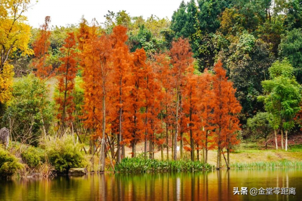 金堂“光霧山”!私藏在這處公園裡的冬日幻境 金堂“光霧山”!私藏在這處公園裡的冬日幻境