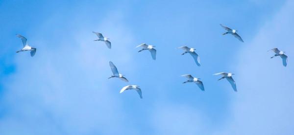 海南最美的8大海灣,太美了 海南最美的8大海灣,太美了