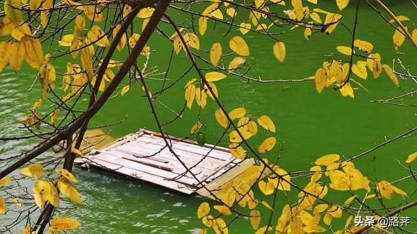 十來年前的幾篇微遊記