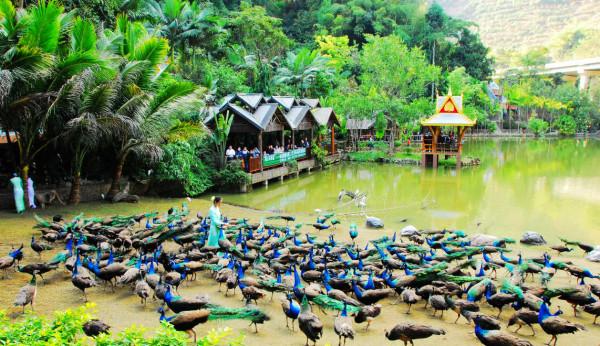 雲南的山脈,造福了半個亞洲,究竟是怎麼一回事呢? 雲南的山脈,造福了半個亞洲,究竟是怎麼一回事呢?