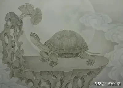 民間故事：呆傻小夥救下山龜，母親下葬時，山龜說：不能埋