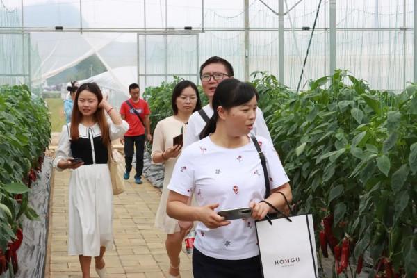 繽紛花海，果蔬採摘，房車露營......中秋出遊就來羊昌！