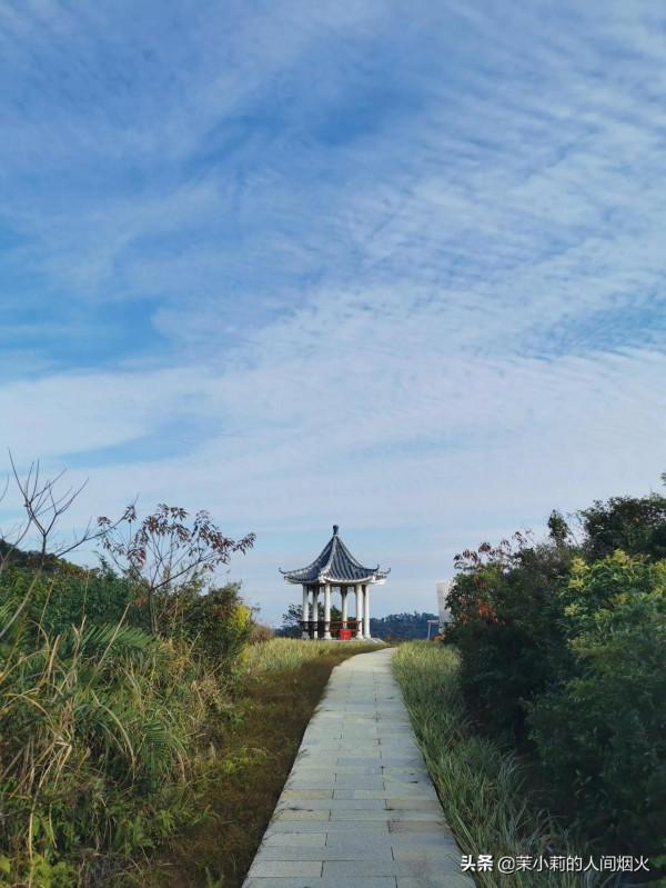 塘朗山&plus;深雲谷，我一天連爬這兩座山，也是沒誰了