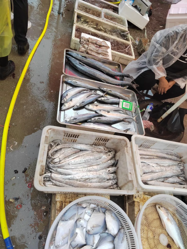 海納百川，高瞰四方，北緯37度隱藏著一座“好吃”的城市