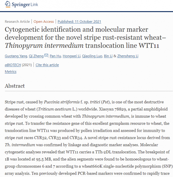 李振聲課題組在小麥與中間偃麥草抗條鏽病易位系的創制及鑑定方面取得新進展 李振聲課題組在小麥與中間偃麥草抗條鏽病易位系的創制及鑑定方面取得新進展
