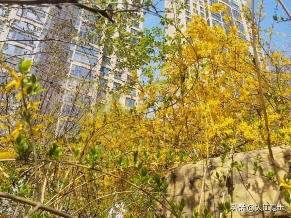 人間四月芳菲盡