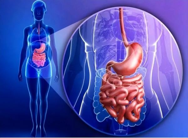 喜歡喝酒的人，身體反覆有4種情況，酒精肝或已找上門，趕緊戒