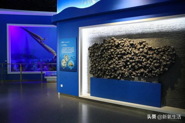 有會動的恐龍、長長齒牙的大象，北京這座博物館裡有一個大世界