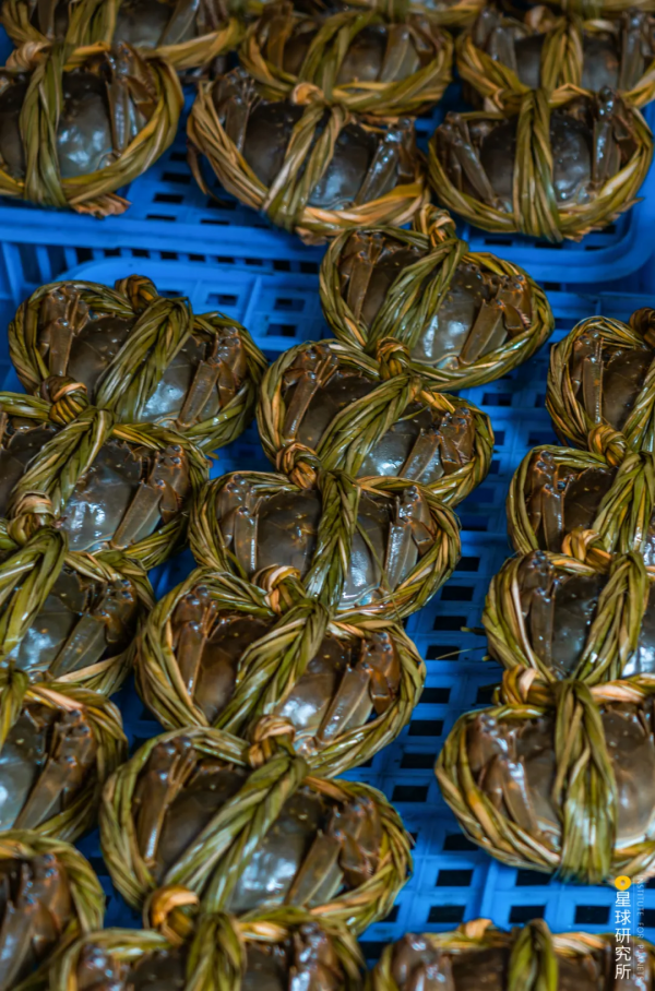 南京高淳,為何值得一去? 南京高淳,為何值得一去?