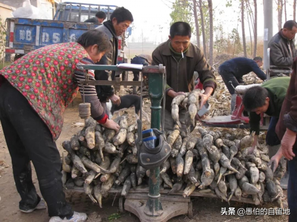 20年前，農村的冬天是這樣的，70後和80後們百看不厭