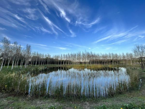 iPhone 13拍照實戰體驗：色調真實，想要高飽和度也沒問題