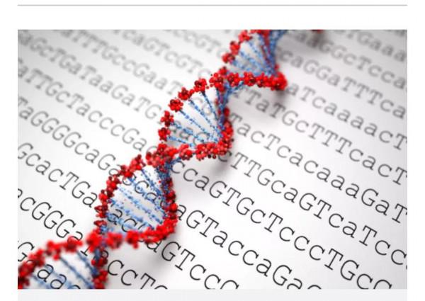 科學家發現14個導致肥胖症的基因
