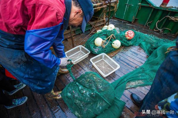 二十人4500元包船出海捕魚，捕獲的海鮮吃完一餐，每人還分到一箱
