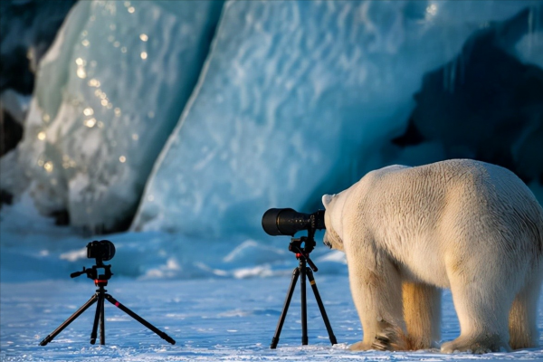 30張罕見的照片，河馬的嘴能有多大，日本廣島核彈後的慘淡