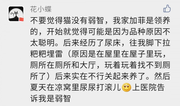 貓總尿床被帶去醫院做檢查,獸醫:這貓是弱智... 貓總尿床被帶去醫院做檢查,獸醫:這貓是弱智...