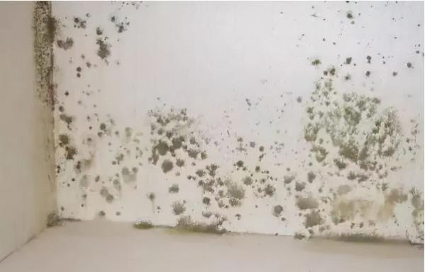 內外牆用這種材料工藝，牆壁永不漏水返潮