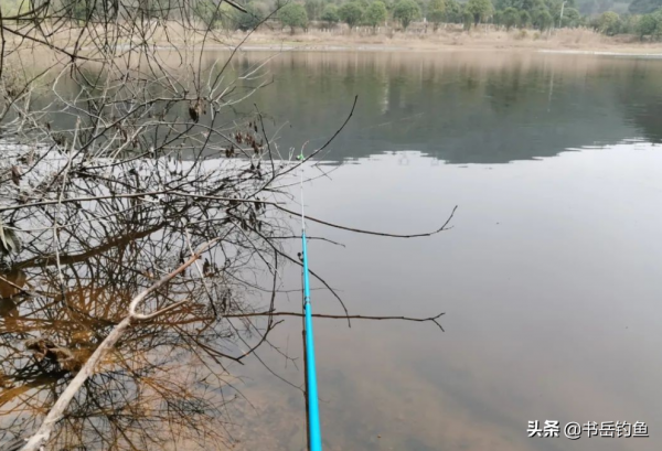 冬季釣魚可別到了就著急下竿，學會這套法則，多冷都能釣到大板鯽