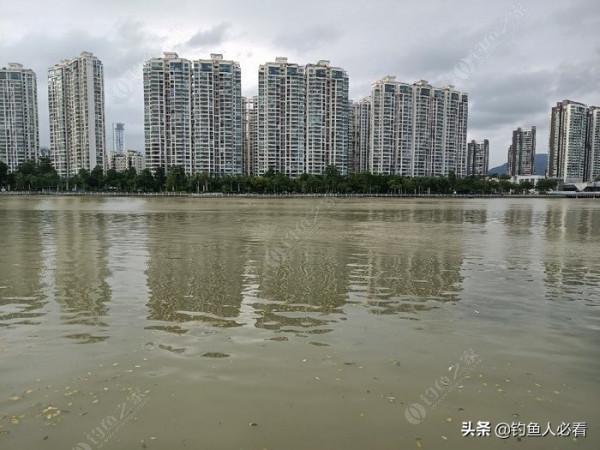 歷經一番驚險刺激的操作，小鉤成功博大魚一條……