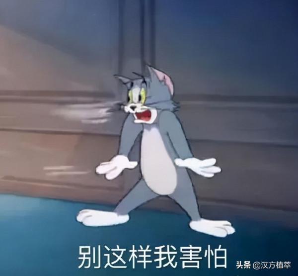 酒精、香精、防腐劑，真的是面板殺手嗎？