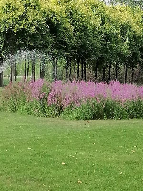 練太極拳基本原則