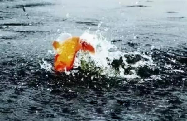 野釣時魚口突然閉停，是什麼原因導致的？如何避開散窩？