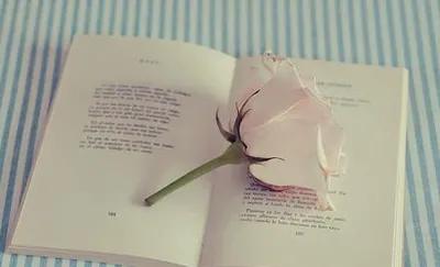 做一個善讀者 做一個善讀者