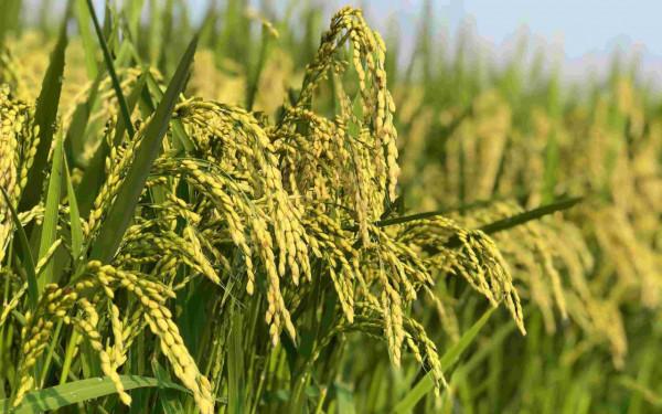 美國損招頻出，瓦解蘇聯後又對中國故技重施，最後的結果怎麼樣了？