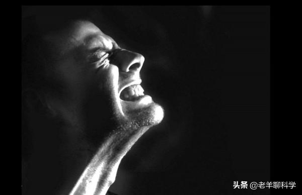 金皮樹葉有多毒?有人用它擦屁股後自殺,英國卻想研製生化武器 金皮樹葉有多毒?有人用它擦屁股後自殺,英國卻想研製生化武器