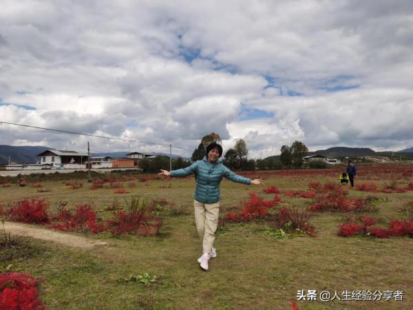 香格里拉一日遊記(跟團) 香格里拉一日遊記(跟團)