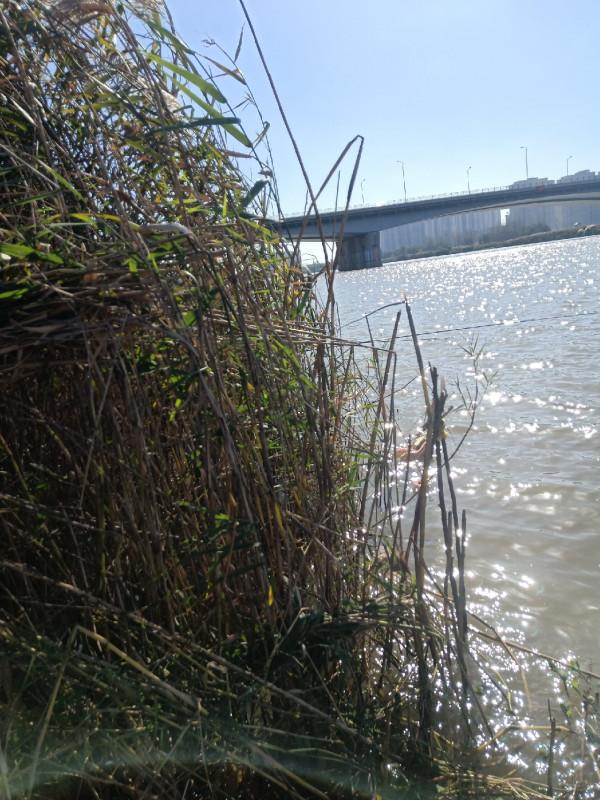 「雙11」開著電驢去釣魚,結果身心疲憊,聽我細細道來…… 「雙11」開著電驢去釣魚,結果身心疲憊,聽我細細道來……