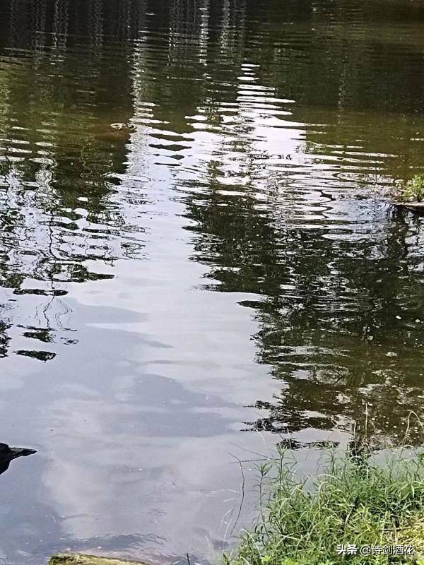 1954年，少女挖野菜撿到的“小船”，如今竟是博物館的鎮館之寶