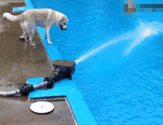 你在健身界是“殘級”還是“神級”，一個動作就能看出水平高低