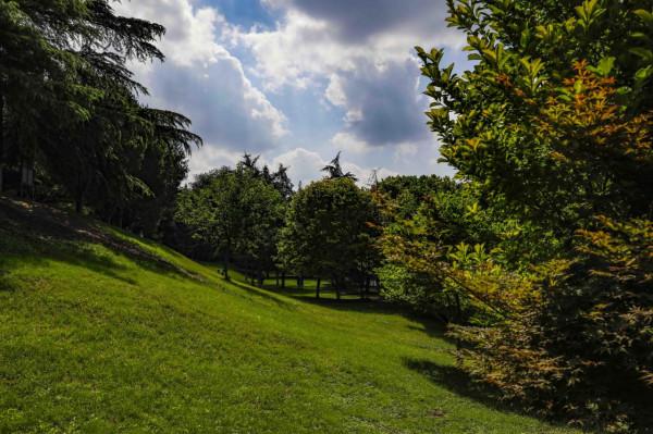 夏日度假好去處，古九州之一青州遊玩攻略