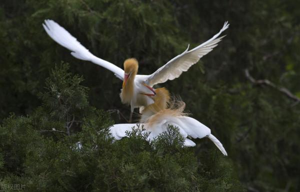 笑眉舒展卻為酒