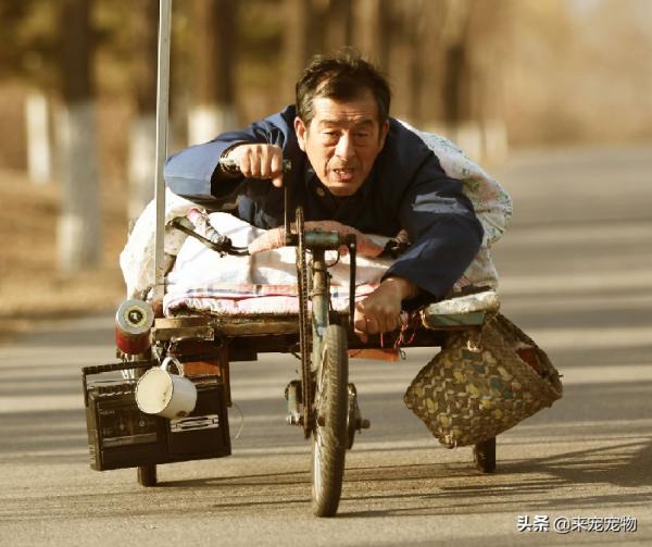 農村老人說:好狗絕對不會死家中!這個故事讓人想哭 農村老人說:好狗絕對不會死家中!這個故事讓人想哭