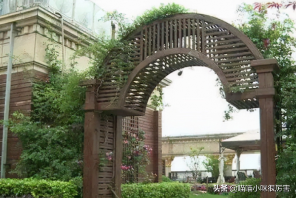 張庭夫婦3年半營收近100億，傳銷背後，他們的生活有多奢侈